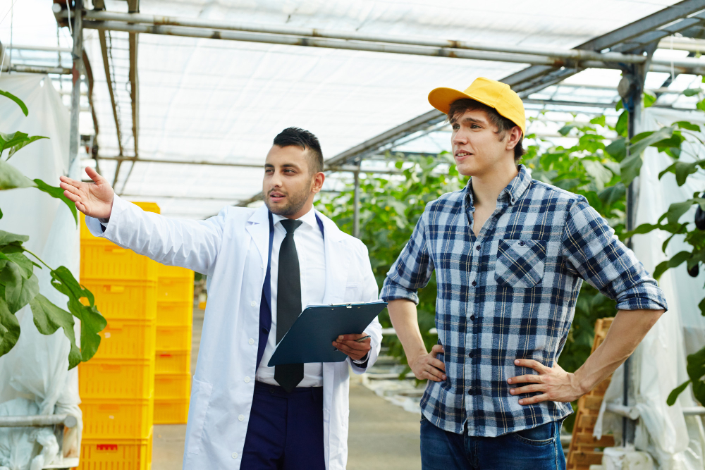 Jurusan Agroteknologi: Men working in greenhouse