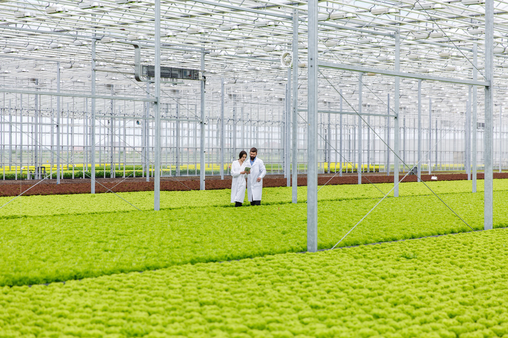 two researches man and woman examine greenery with a tablet in an all white