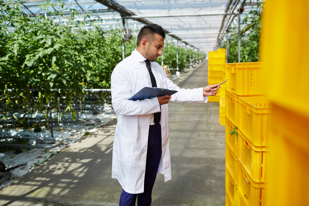Jurusan Agroteknologi: working in greenhouse