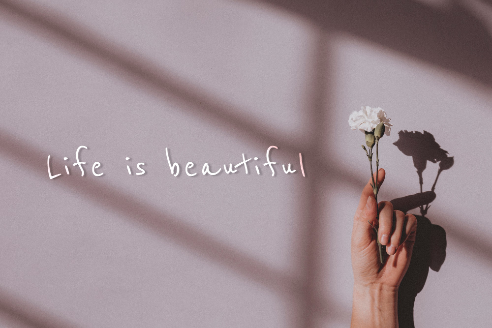 life is beautiful quote