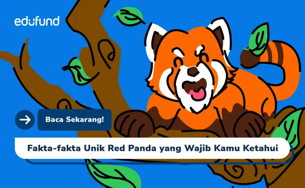 Fakta Red Panda, Hewan Lucu yang Punya Film!